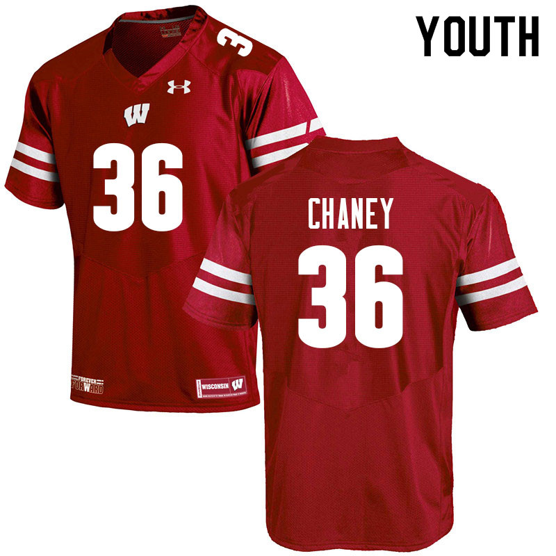 Wisconsin Badgers Youth #36 Jake Chaney NCAA Under Armour Authentic Red College Stitched Football Jersey CF40N58PZ